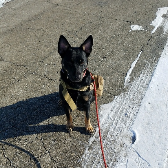 Meet your Posher, Kelly - Picture 3 of 5